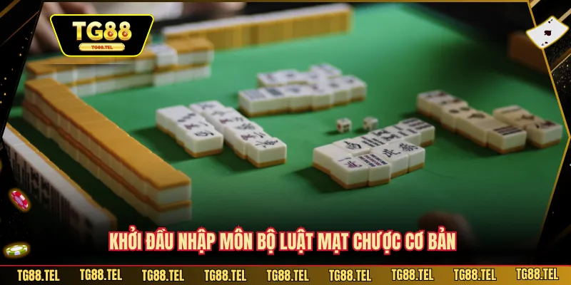 Cách Chơi Mạt Chược Cực Dễ - Bí Quyết TG88 Dễ Nắm Bắt 3 Khởi đầu nhập môn bộ luật mạt chược cơ bản